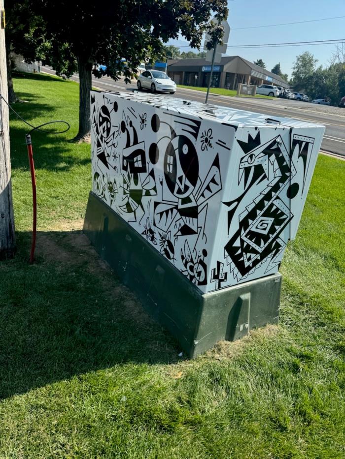 Gailons completed electrical box